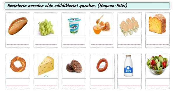 2.Sınıf Hayat Bilgisi Öğünlerimizde Yediklerimiz Etkinliği