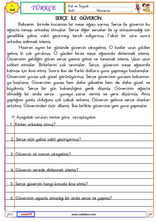 1. Sınıf Türkçe Okuma ve Anlama Metni  Etkinliği (Serçe ve Güvercin)