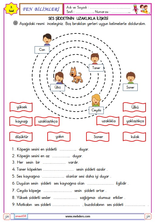 3. Sınıf Fen Bilimleri Ses Kaynakları Etkinliği 2