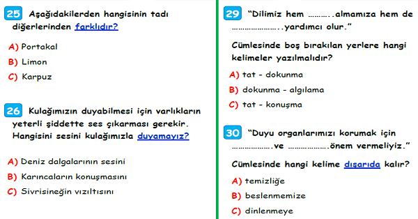 3.Sınıf Fen Bilimleri Beş Duyumuz Ünite Değerlendirme