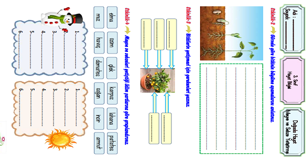 3.Sınıf Hayat Bilgisi Bitki ve Hayvanların Yaşamımızdaki Önemi Etkinliği