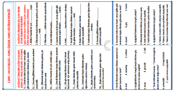 3.Sınıf - Hayat Bilgisi Farklı Ülkeler, Farklı Kültürler Etkinliği