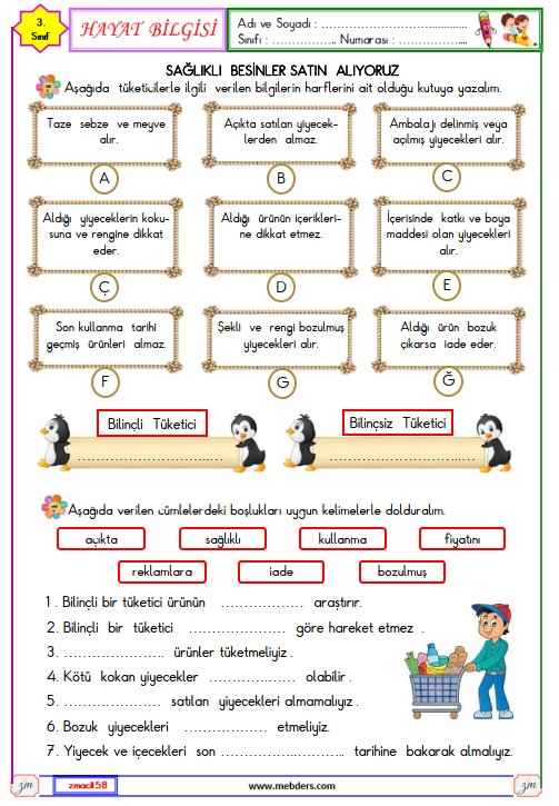 3. Sınıf Hayat Bilgisi Sağlıklı  Besinler  Satın  Alıyoruz Etkinliği