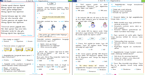 3. Sınıf Haftalık Kazanım Değerlendirme Testi 10. Hafta (17 - 21 Kasım)