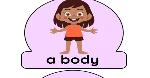 2.Sınıf 3.Tema Personal Life Body Parts Poster/Afiş