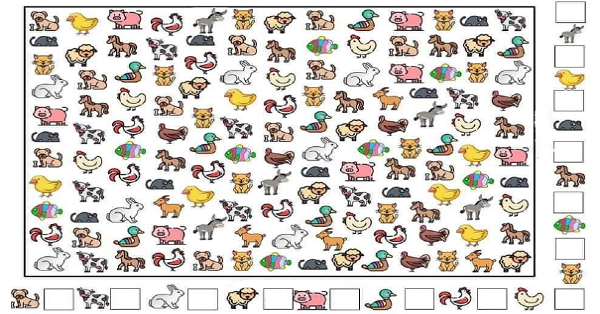 Bak ve Bul Say Etkinliği 17