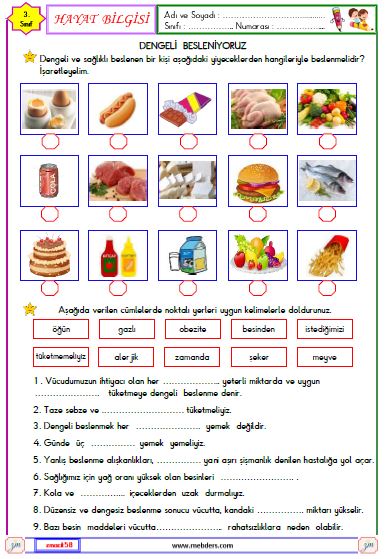 3. Sınıf Hayat Bilgisi Dengeli Besleniyoruz  Etkinliği