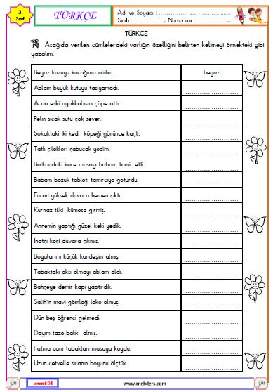 3. Sınıf Türkçe Varlıkların Özelliklerini Belirten Kelimeler Etkinliği