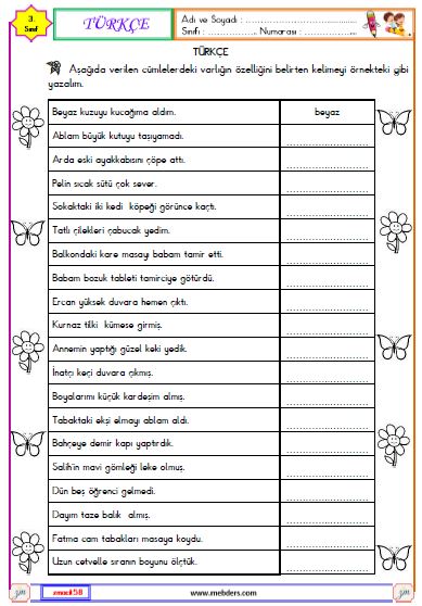 3. Sınıf Türkçe Varlıkların Özelliklerini Belirten Kelimeler Etkinliği