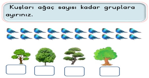 2.Sınıf Matematik Bölme İşlemi (Gruplama ve Paylaştırma)Etkinliği-4