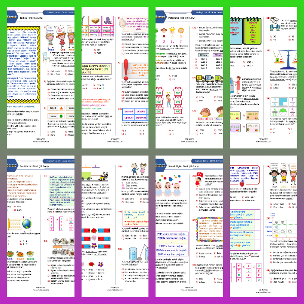 4. Sınıf Ocak Ayı Denemesi (PDF)