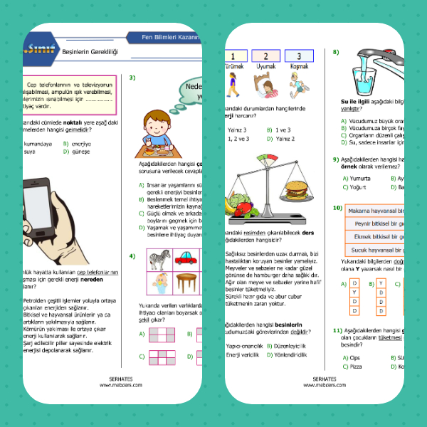 4. Sınıf Fen Bilimleri Besinlerin Gerekliliği Kazanım Testi