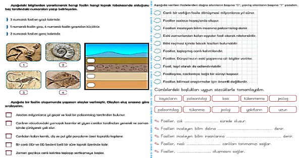 4. Sınıf Fen Bilimleri Fosiller 2