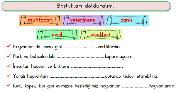 1.Sınıf Hayat Bilgisi Bitkileri ve Hayvanları Koruyalım Etkinliği