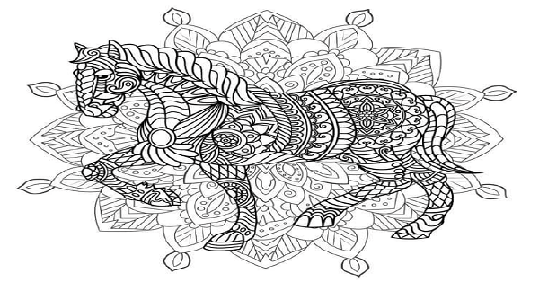 Mandala At Boyama