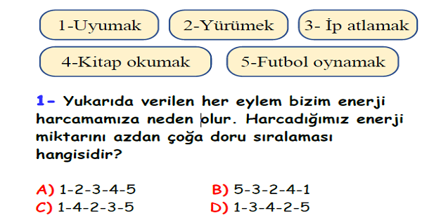 4.Sınıf Fen Bilimleri Besinlerimiz Yaprak Test-2