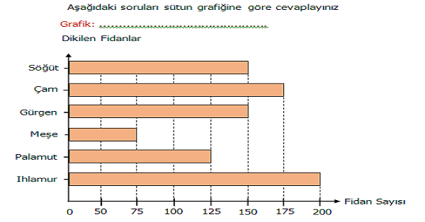 4.Sınıf Matematik Verilerin Farklı Gösterimleri Etkinliği 4 (Çetele Tablosu, Sıklık Tablosu, Sütun ve Nesne Grafiği)