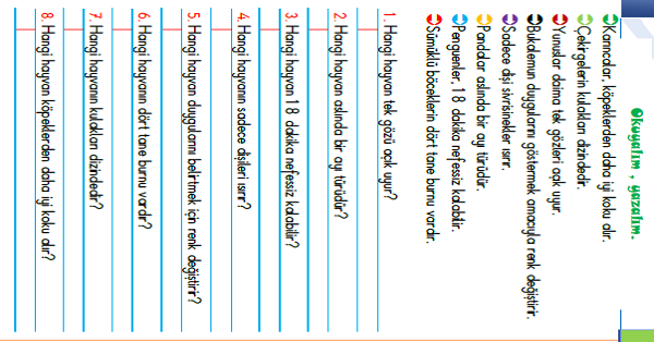 1.Sınıf Türkçe Biraz Bilgi Etkinliği-3