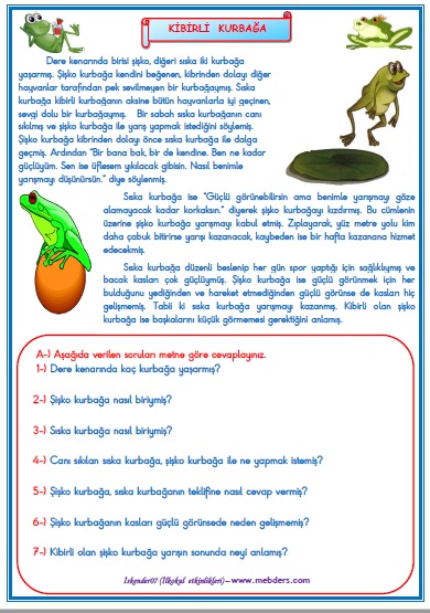 1.Sınıf Türkçe Kibirli Kurbağa Okuma Anlama Metin Çalışması 28