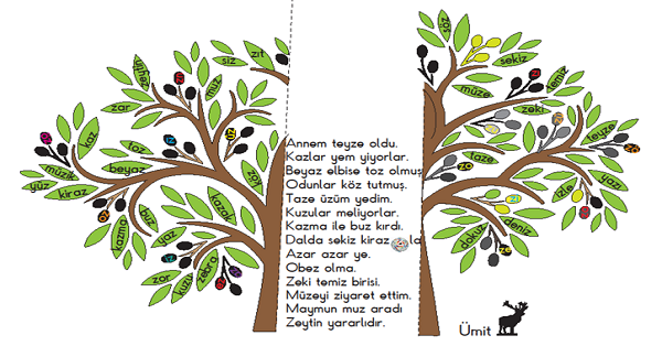 1.Sınıf İlk Okuma Yazma (Z-z Sesi) Zeytin Ağacı Katla-Oku Etkinliği