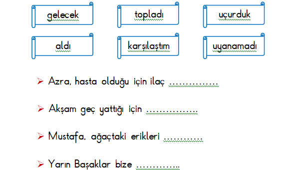 1.Sınıf Türkçe Cümle Çalışması Etkinliği