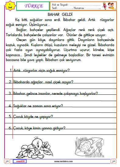 1. Sınıf Türkçe Okuma ve Anlama Metni Etkinliği ( Bahar Geldi )