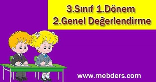 3.Sınıf 1.Dönem 2. Genel Değerlendirme Etkinliği