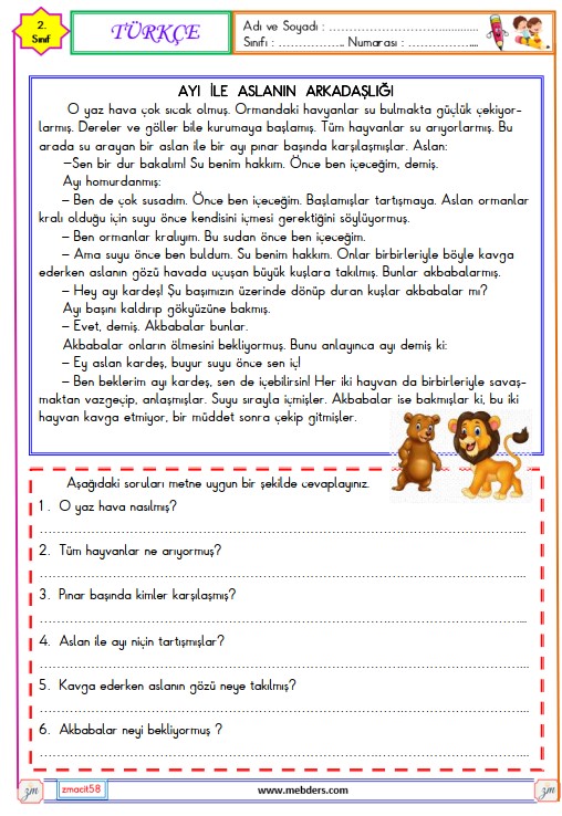 2. Sınıf Türkçe Okuma ve Anlama Metni Etkinliği (Ayı ile Aslanın Arkadaşlığı)