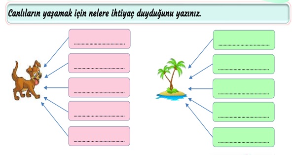 2.Sınıf Hayat Bilgisi Canlıları Koruyalım Etkinliği