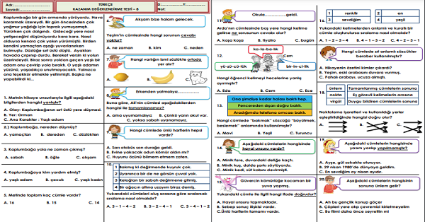 2.Sınıf Türkçe Seviye Belirleme Testi-8