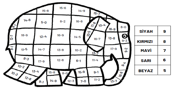 1.Sınıf Matematik Çıkarma İşlemi (Fil Boyamalı)