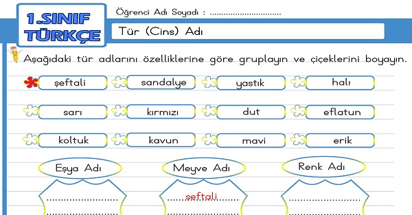 1.Sınıf Türkçe Tür (Cins) Adı Etkinliği