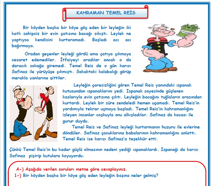 2.Sınıf Türkçe Kahraman Temel Reis  Okuma Anlama Metin Çalışması