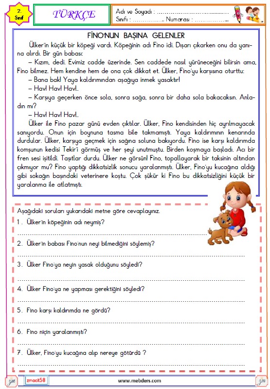 2. Sınıf Türkçe Okuma ve Anlama Metni Etkinliği (Fino'nun Başına Gelenler)