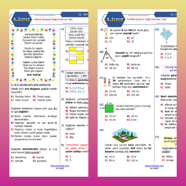 4. Sınıf Haftalık Değerlendirme Testi - 31. Hafta