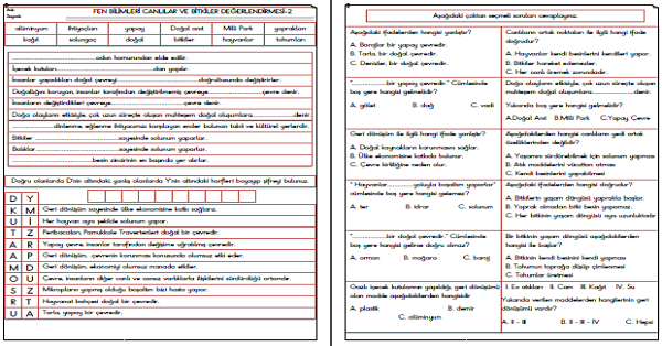 3.Sınıf Fen Bilimleri Canlılar Dünyasında Yolculuk Ünite Değerlendirme Etkinliği 3