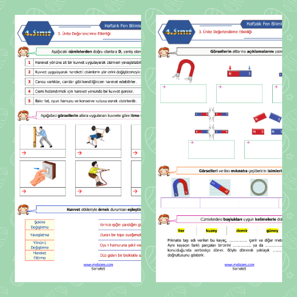 4. Sınıf Fen Bilimleri - 3. Ünite Tekrar Etkinliği