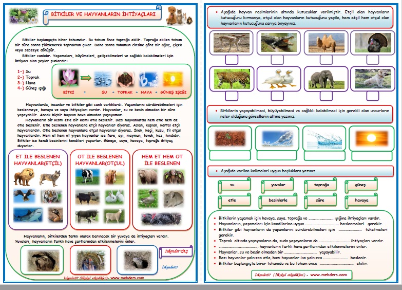 2.Sınıf Hayat Bilgisi Bitkiler ve Hayvanların İhtiyaçları