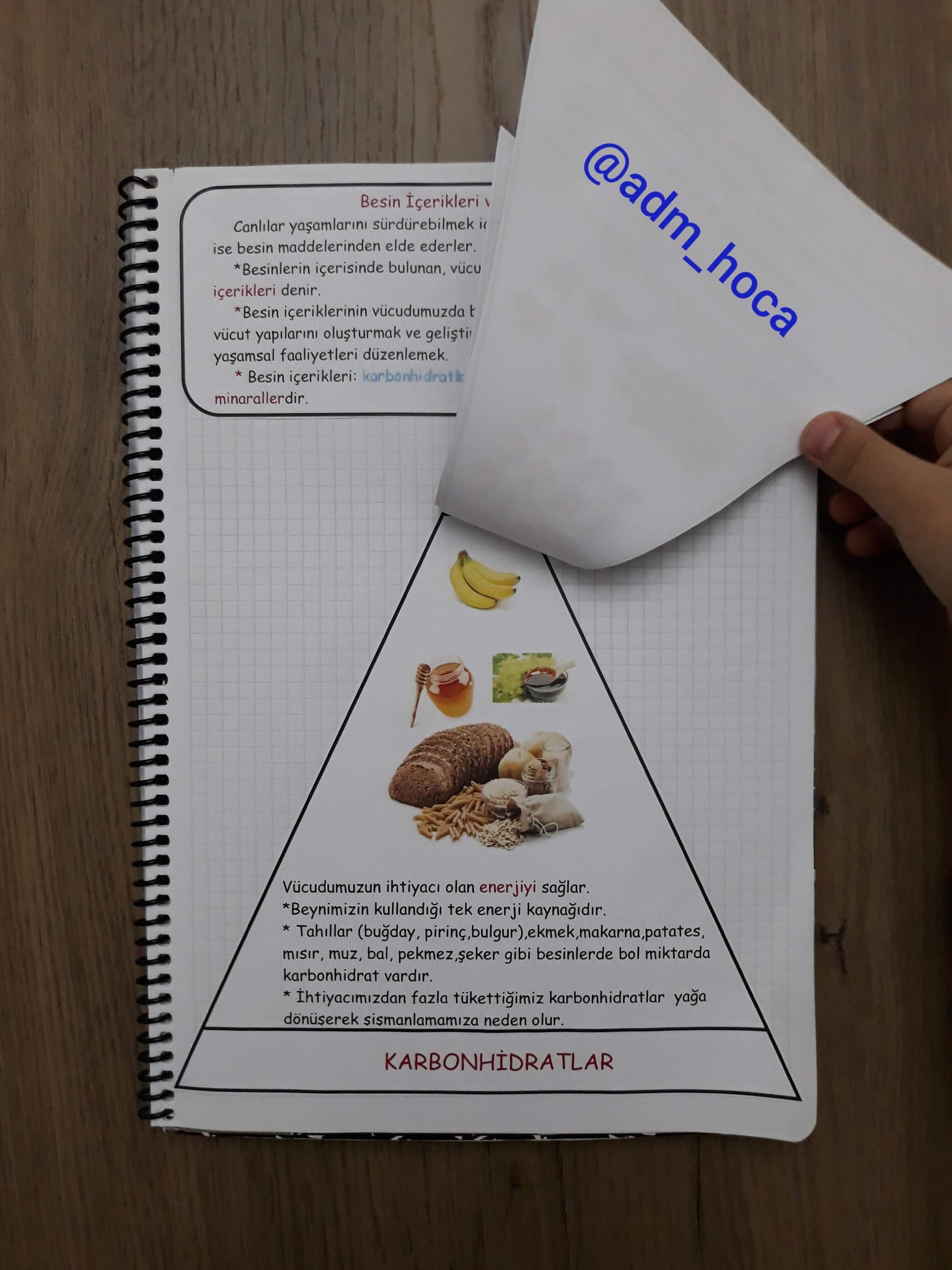 4. Sınıf Fen Bilimleri Besin İçerikleri ve Görevleri İnteraktif Defter Etkinliği