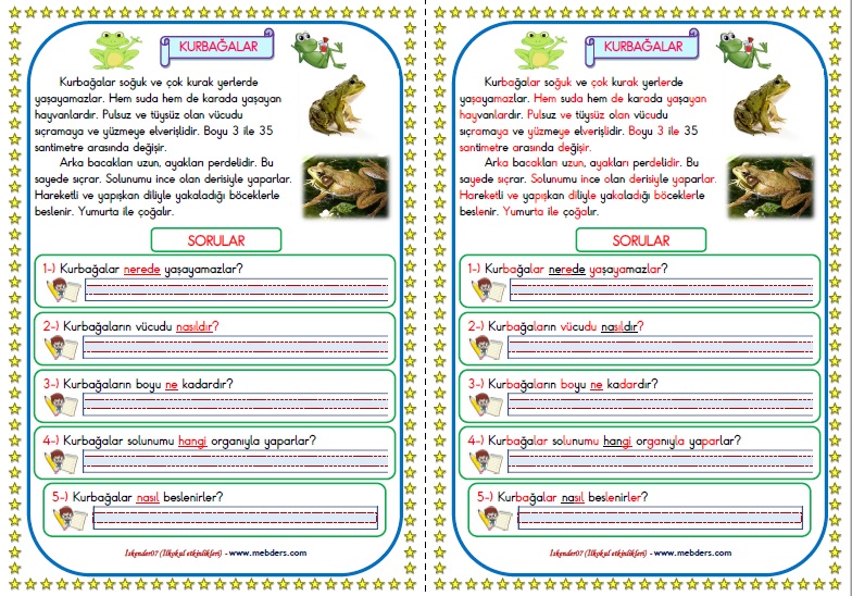 1.Sınıf Türkçe Kurbağalar Okuma Anlama Metin Çalışması  10