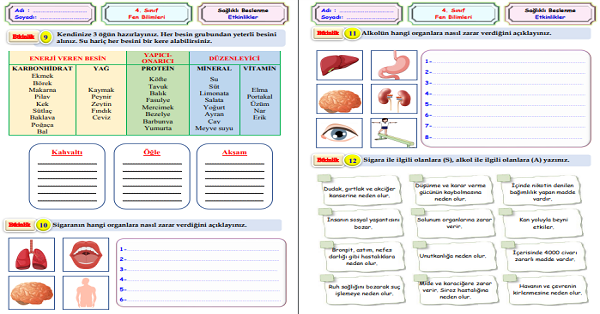 4.Sınıf Fen Bilimleri Sigara ve Alkolün Zararları Etkinliği