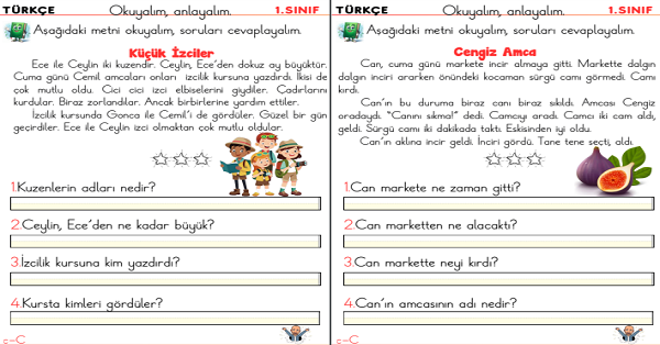 1. Sınıf İlk Okuma Yazma C Sesi Okuma Anlama Etkinliği