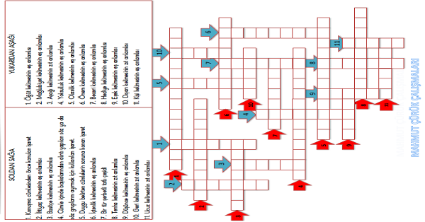 3.Sınıf Türkçe Çengel Bulmaca Etkinliği-4