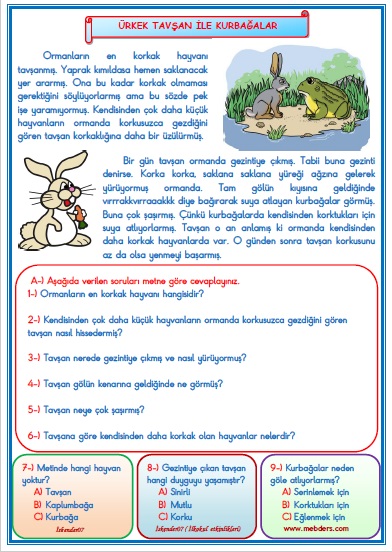 1.Sınıf Türkçe Ürkek Tavşan ile Kurbağalar Okuma Anlama Metin Çalışması  29