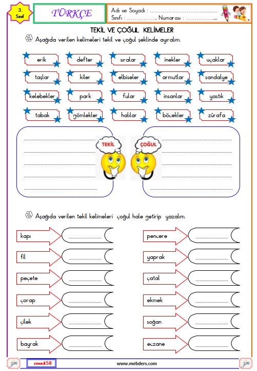 3. Sınıf Türkçe Tekil ve Çoğul Kelimeler Etkinliği