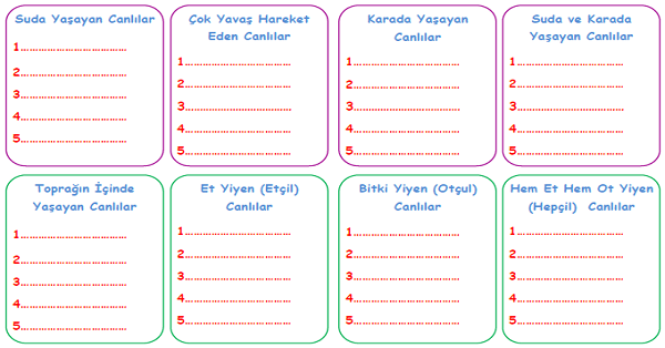 3.Sınıf Fen Bilimleri Canlılar Dünyasına Yolculuk Etkinlikleri