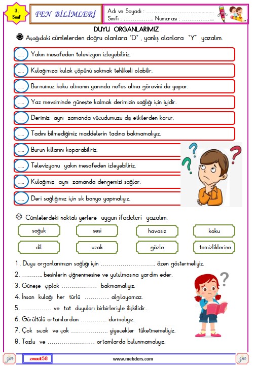 3. Sınıf Fen Bilimleri Duyu Organlarımız Etkinliği 4