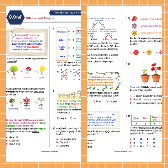 3. Sınıf Fen Bilimleri Bitkilerin Hayat Döngüsü Kazanım Testi