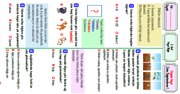 3.Sınıf Hayat Bilgisi Doğada Hayat Ünite Değerlendirme-1