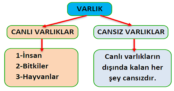 3.Sınıf Fen Bilimleri Canlılar Dünyasına Yolculuk Konu Özeti